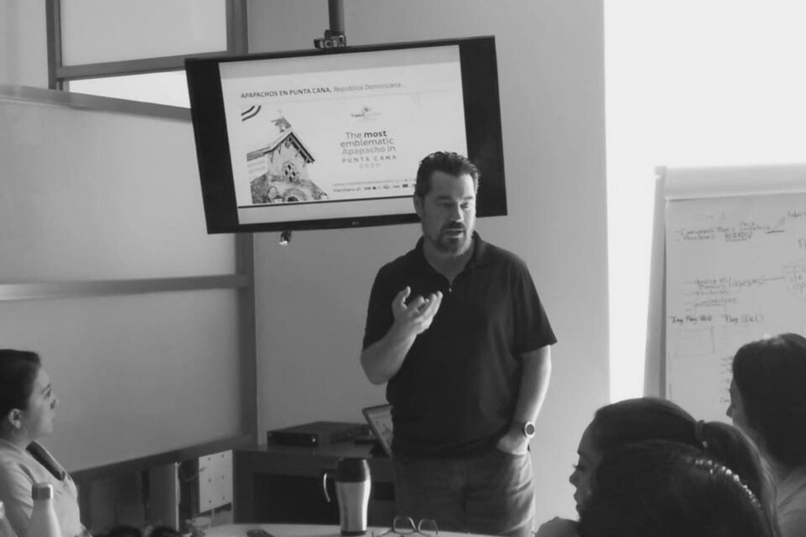 servicios de consultoria misael