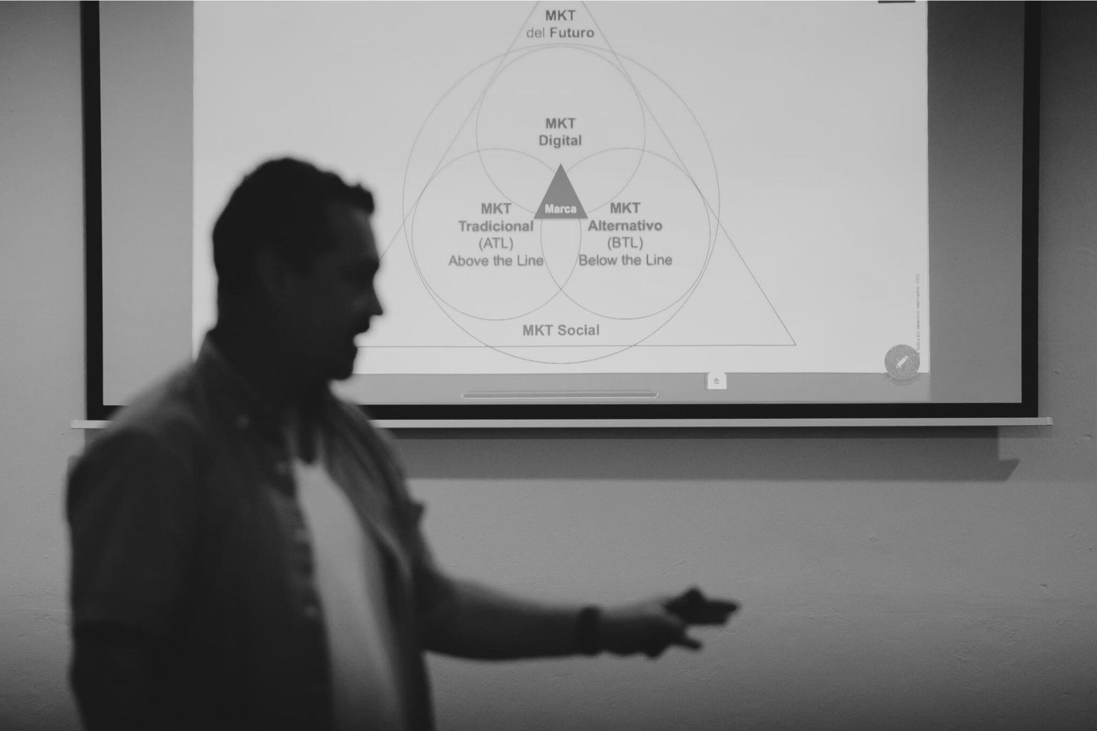 servicios de consultoria