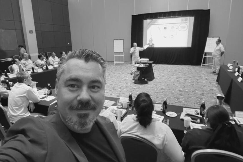 el consultor en marketing